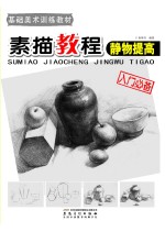 素描<em>教程</em>  静物提高