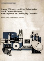 Energy Efficiency and Fuel Substitution in the Cement Industry with Emphasis on Developing Countries