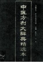 中医方剂大辞典精选本  上