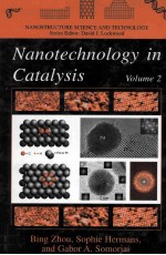 Nanotechnology <em>in</em> Catalysis <em>Volume</em> <em>2</em>