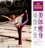 时尚瑜伽馆  美体瘦身瑜伽大全