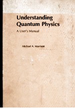 UNDERSTANDING <em>QUANTUM</em> PHYSICS