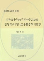 引导青少年的千万个学习故事：引导青少年的100个数学学习故事