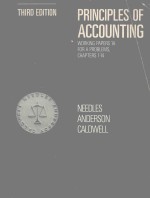 <em>PRINCIPLES</em> OF ACCOUNTING WORKING PAPRERS 1A