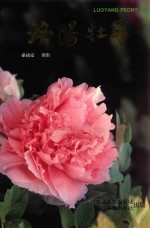 <em>洛阳</em>牡丹