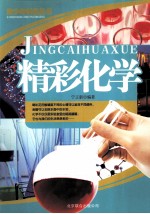 青少年科普丛书  精彩化学