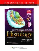 color <em>a</em>tl<em>a</em>s <em>a</em>nd <em>text</em> of histology