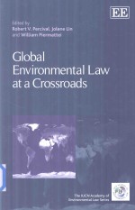 Glob<em>a</em>l Environment<em>a</em>l <em>L<em>a</em>w</em> <em>a</em>t <em>A</em> Crossro<em>a</em>ds