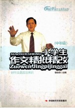 小学生作文精批精改  中年级