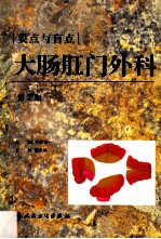 要点<em>与</em>盲点  大肠肛门外科  第2版