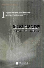 <em>知识</em>资产整合管理  <em>知识</em>资产发掘和<em>保护</em>指南