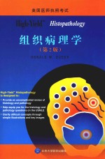 <em>High</em>-yield histopathology = <em>High</em>-yield组织病理学