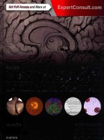 <em>B</em>radley's NEUROLOGY IN <em>C</em>LINI<em>C</em>AL PRA<em>C</em>TI<em>C</em>E  VOLUME 1  SEVENTH EDITION