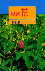 客家台湾文库  见笑花