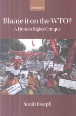 <em>B</em>lame it on the WTO?A Human Right Critique