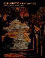EXPLORATIONS <em>IN</em> LITERATURE