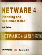Net<em>W</em>are 4:Planning and Implementation
