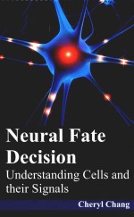 neural fate decision underst<em>and</em>ing cells <em>and</em> their <em>signal</em>s