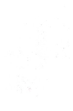 Advances in <em>Data</em> Base <em>Management</em> Volume 2
