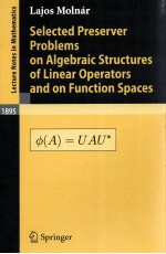 SELECTED PRESERVER <em>PROBLEMS</em> <em>ON</em> ALGEBRAIC STRUCTURES OF LINEAR OPERTORS <em>AND</em> <em>ON</em> FUNCTI<em>ON</em> SPACES