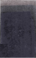 Advances <em>in</em> Digital Image Process<em>in</em>g <em>Theory</em>