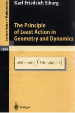 THE PR<em>IN</em>CIPLE <em>OF</em> LEAST ACTION <em>IN</em> GEOMETRY AND DYNAMICS