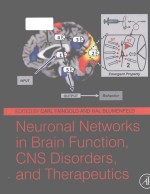 Neuronal <em>networks</em> in brain function