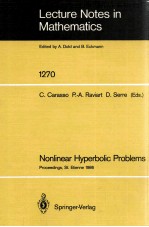<em>LECTURE</em> <em>NOTES</em> <em>IN</em> <em>MATHEMATICS</em> 1270: NONL<em>IN</em>EAR HYPERBOLIC PROBLEMS