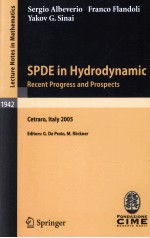 SPDE <em>IN</em> HYDRODYNAMIC