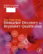 The path from <em>bi</em>omarker discovery to re<em>gu</em>latory qualification