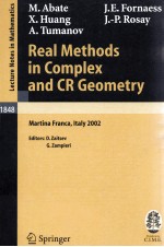 REAL <em>METHODS</em> IN COMPLEX AND CR GEOMETRY
