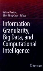 <em>INFORMATION</em> GRANULARITY