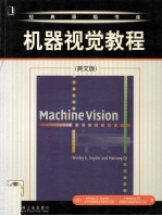 Machine <em>Vision</em>