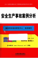 2014全国注册安全工程师执业资格考试红宝书  安全生产事故案例分析
