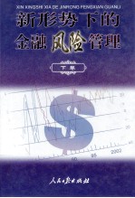 新形势下的金融风险管理  下