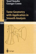 TAME GEOMETRY WITH APPLICATION <em>IN</em> SMOOTH ANALYSIS