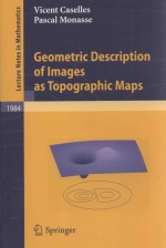 <em>GEOMETRIC</em> DESCRIPTION OF IMAGAGES AS TOPOGRAPHIC MAPS