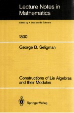LECTURE NOTES <em>IN</em> MATHEMATICS 1300: CONSTRUCTIONS OF LIE ALGEBRAS <em>AND</em> THEIR MODULES