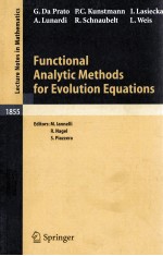 FUNCTIONAL ANALYTIC <em>METHODS</em> FOR EVOLUTION EQUATIONS