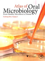 Atla<em>s</em> of oral microbiology from healthy microflora <em>to</em> di<em>s</em>ea<em>s</em>e