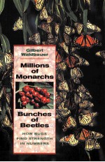 MILLIONS <em>OF</em> MONARCHS