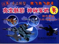 夜空魅影  神秘军机秀