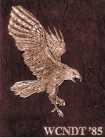 COPYRIGHT 1985 <em>THE</em> WORLD CONFERENCE ON NONDESTRUCTIVE TESTING FIRST PRINTING 1985