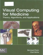 Visual <em>computing</em> for medicine theory