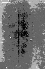 Simulating Humans Computer Graphics Animation and <em>Control</em>