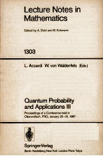 LECTURE NOTES <em>IN</em> MATHEMATICS 1303: QUANTUM PROBABILITY <em>AND</em> APPLICATIONS III