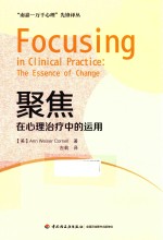 聚集  在心理治疗中的运用