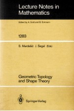LECTURE NOTES <em>IN</em> MATHEMATICS 1<em>2</em>83: GEOMETRIC TOPOLOGY AND SHAP <em>THEORY</em>