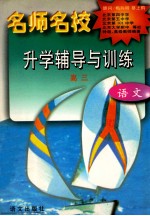 名师名校升学辅导与训练  高三·语文