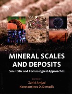 MINERAL SCALES <em>AND</em> DEPOSITS SCIENTIFIC <em>AND</em> TECHNOLOGICAL APPROACHES
